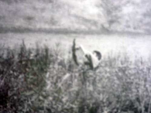 На снимке оперативной съёмки Линч в Железногорске на берегу Енисея недалеко от ГХК